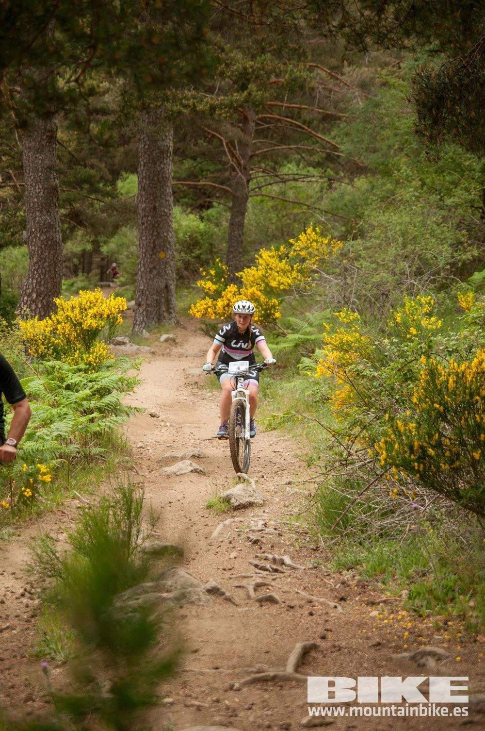 Test The Best 2015. Demo Viernes 29 mayo