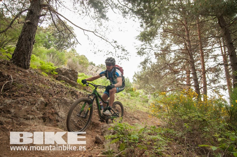 Test The Best 2015. Demo Viernes 29 mayo