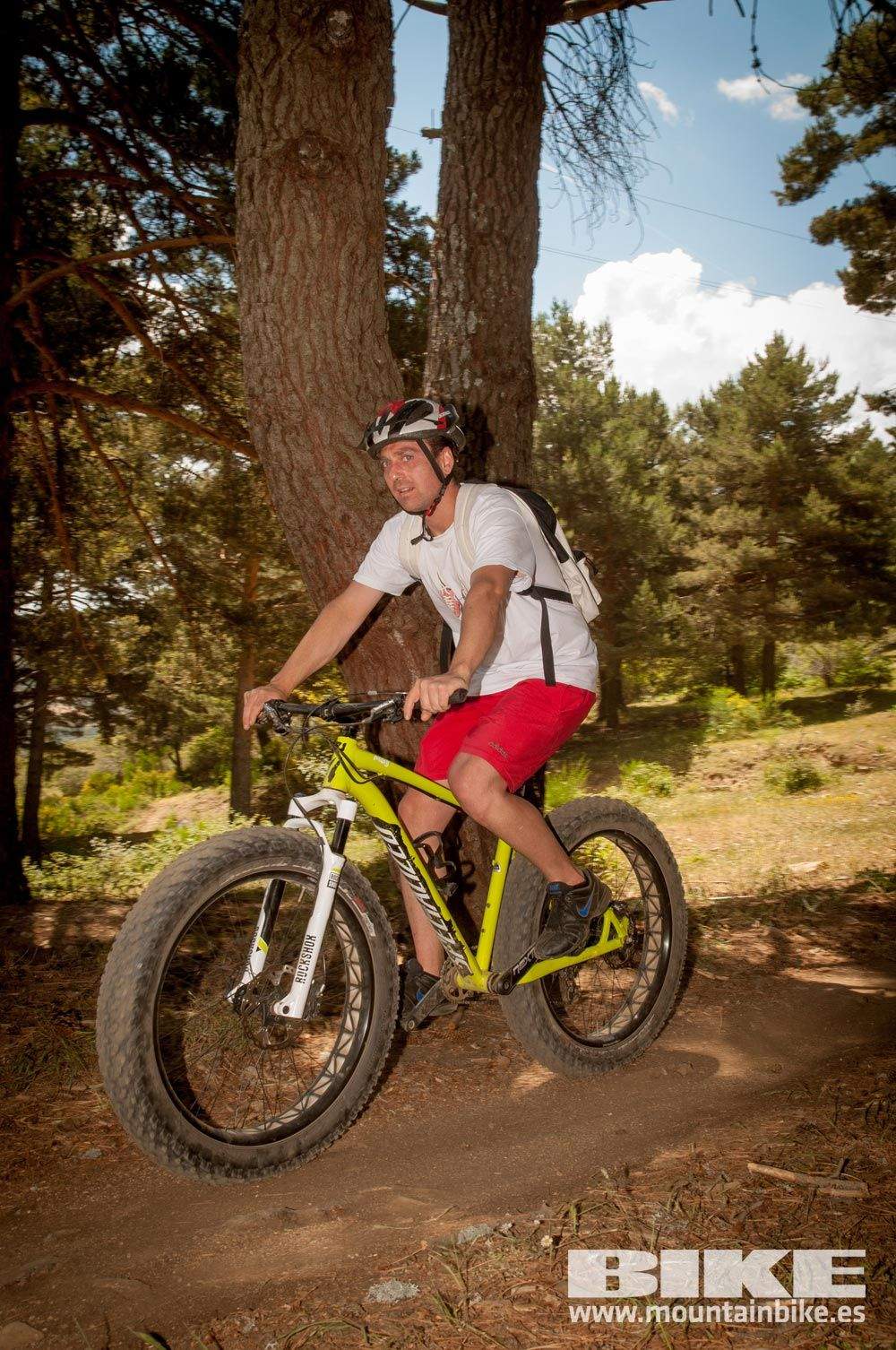 Test The Best 2015. Demo Domingo 31 mayo