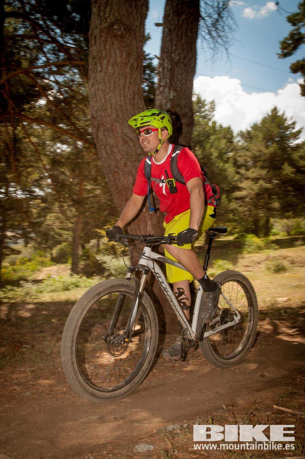 Test The Best 2015. Demo Domingo 31 mayo