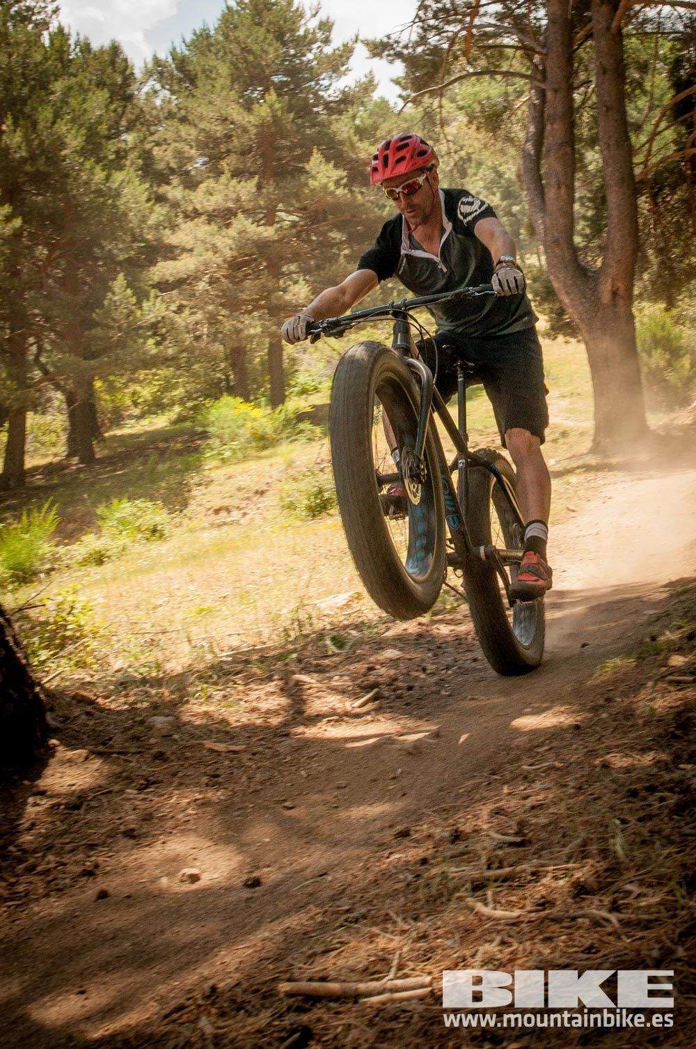 Test The Best 2015. Demo Domingo 31 mayo
