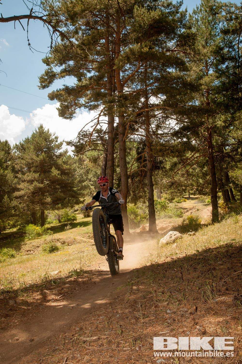 Test The Best 2015. Demo Domingo 31 mayo