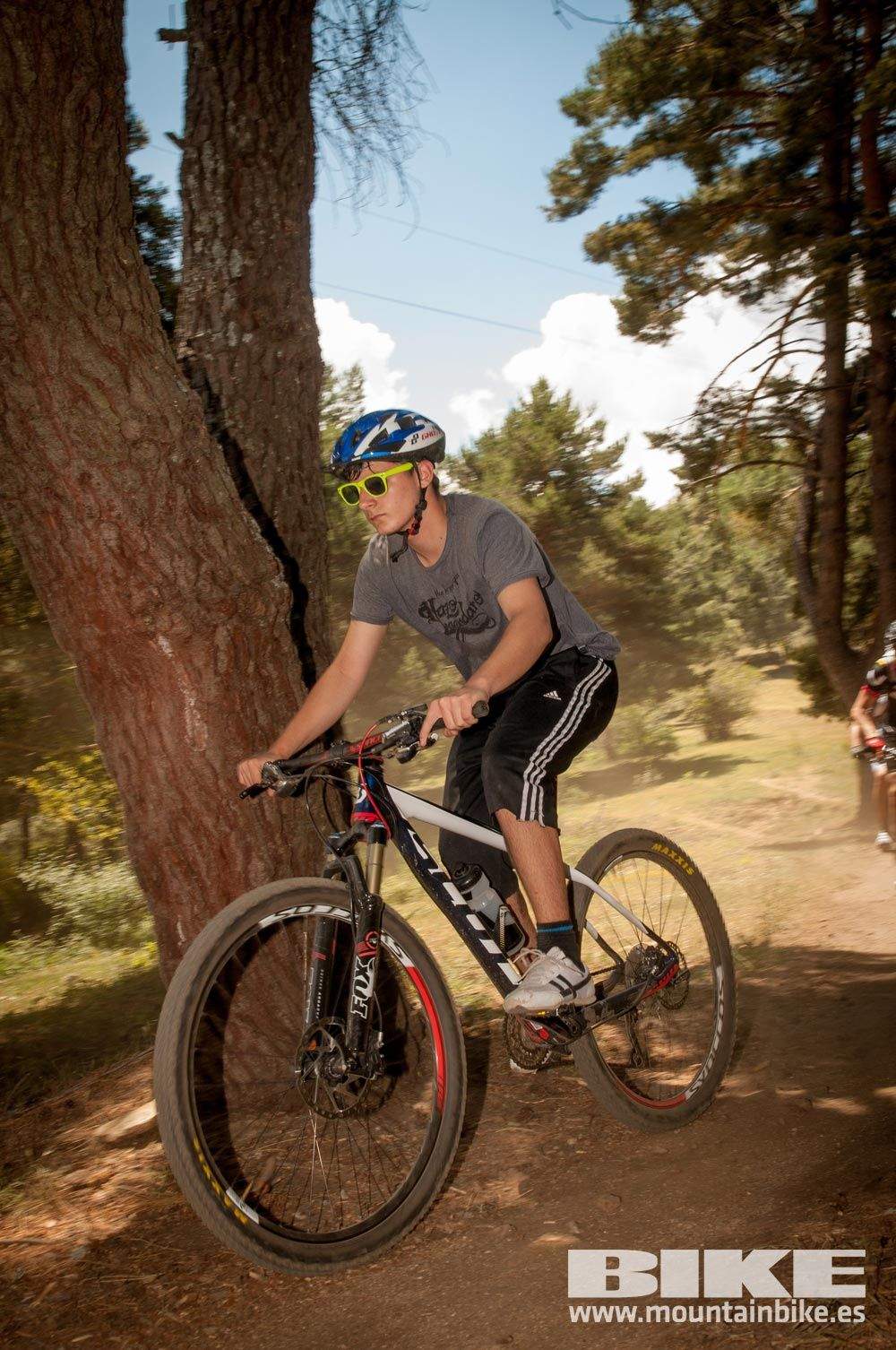 Test The Best 2015. Demo Domingo 31 mayo