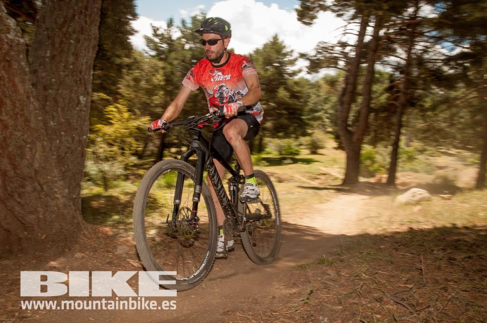 Test The Best 2015. Demo Domingo 31 mayo