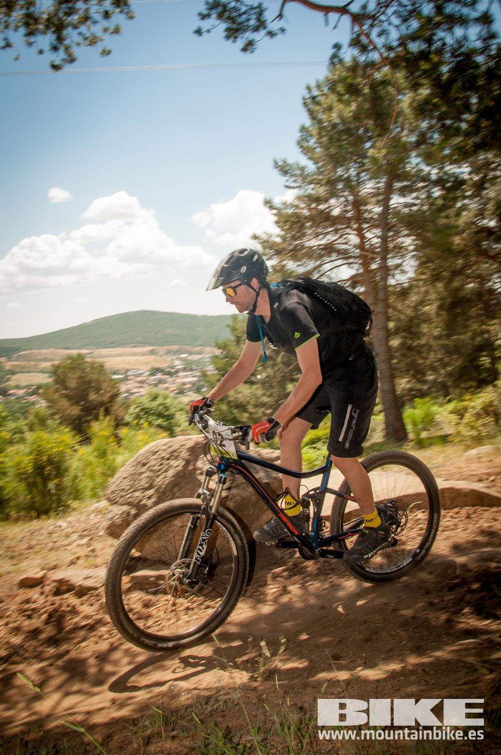 Test The Best 2015. Demo Domingo 31 mayo