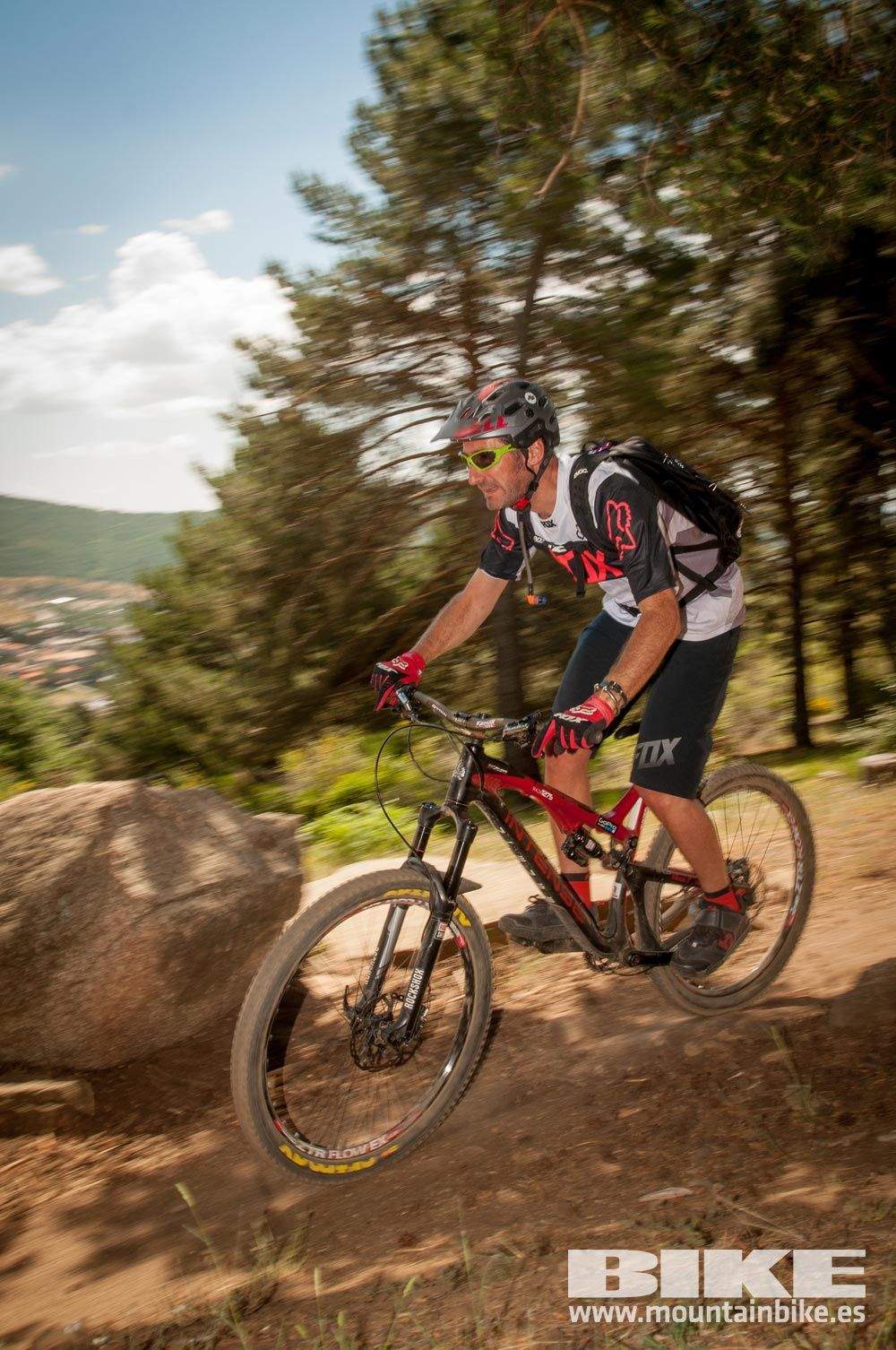 Test The Best 2015. Demo Domingo 31 mayo