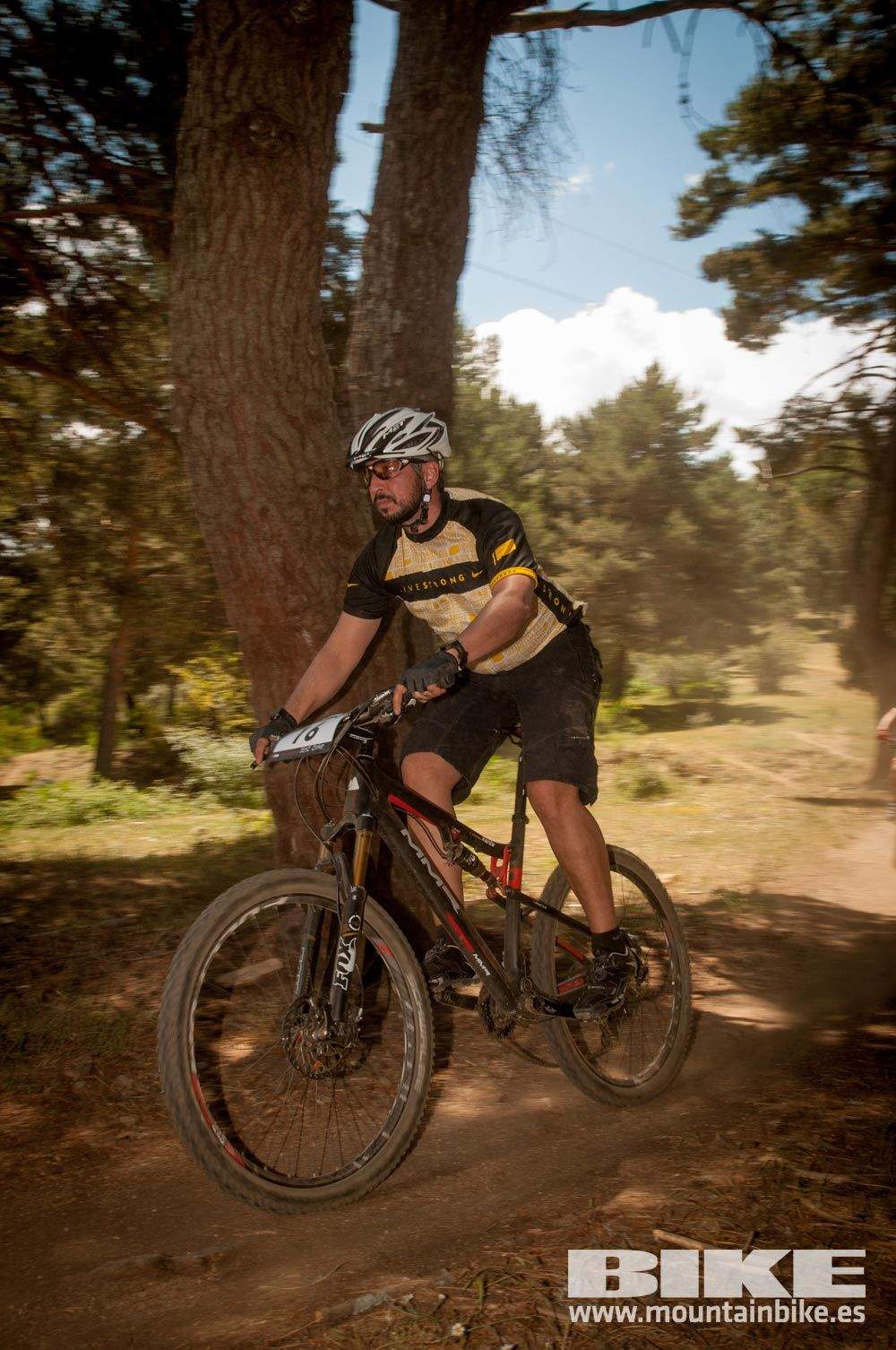 Test The Best 2015. Demo Domingo 31 mayo