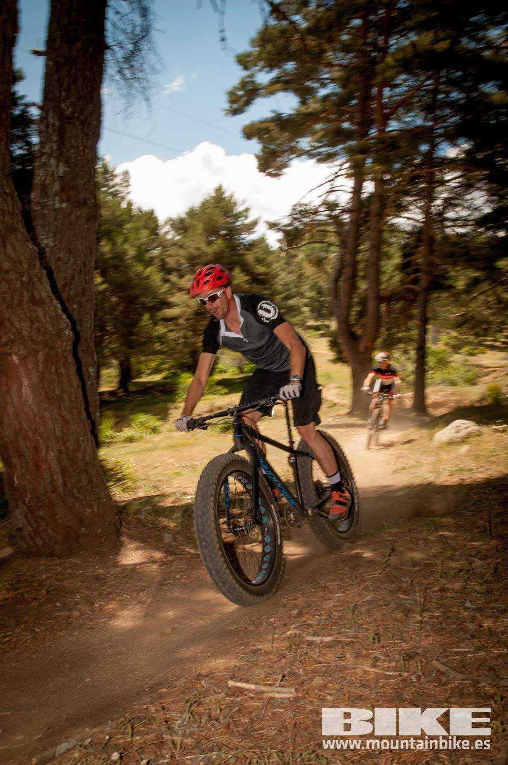 Test The Best 2015. Demo Domingo 31 mayo