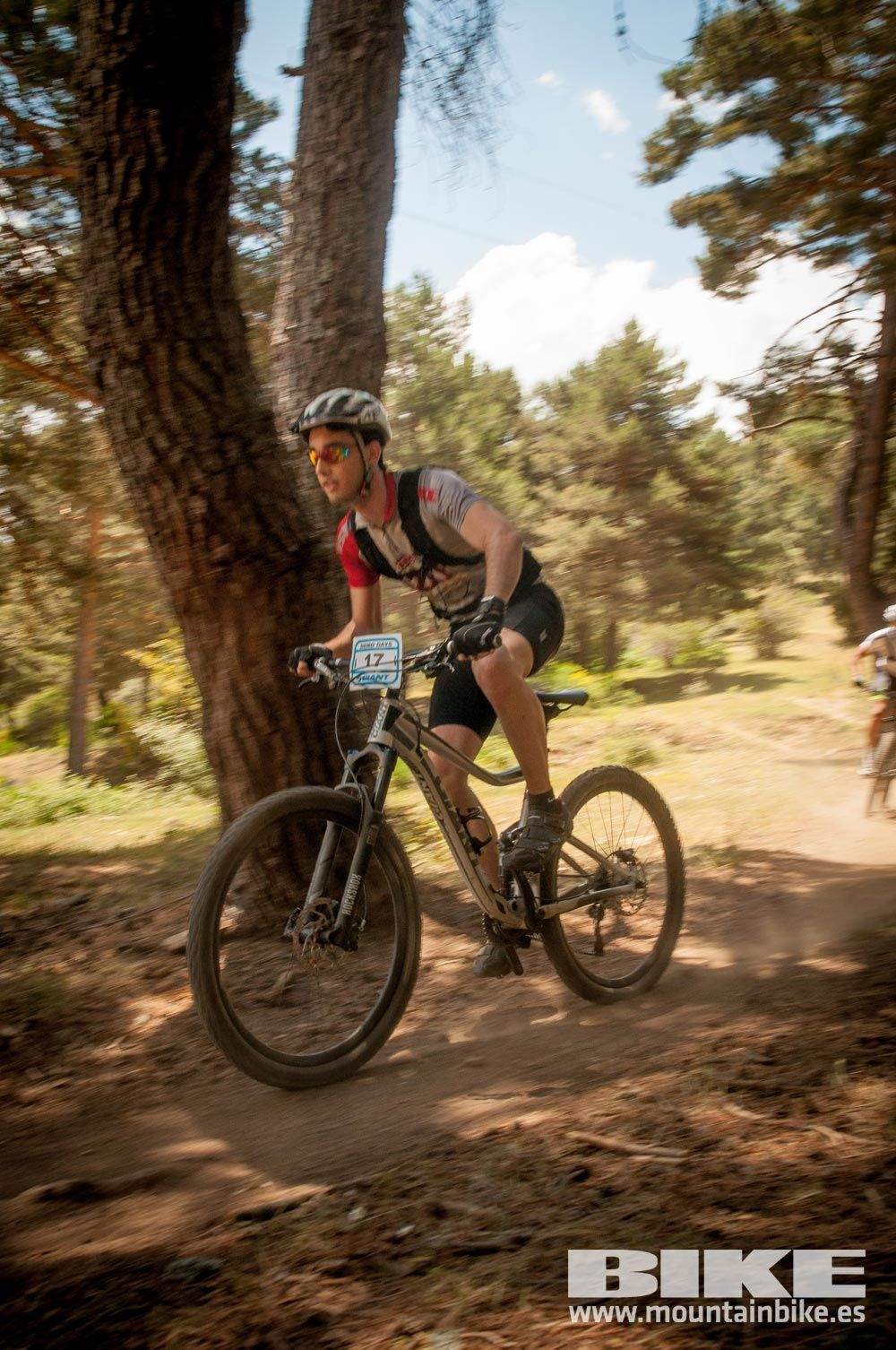 Test The Best 2015. Demo Domingo 31 mayo