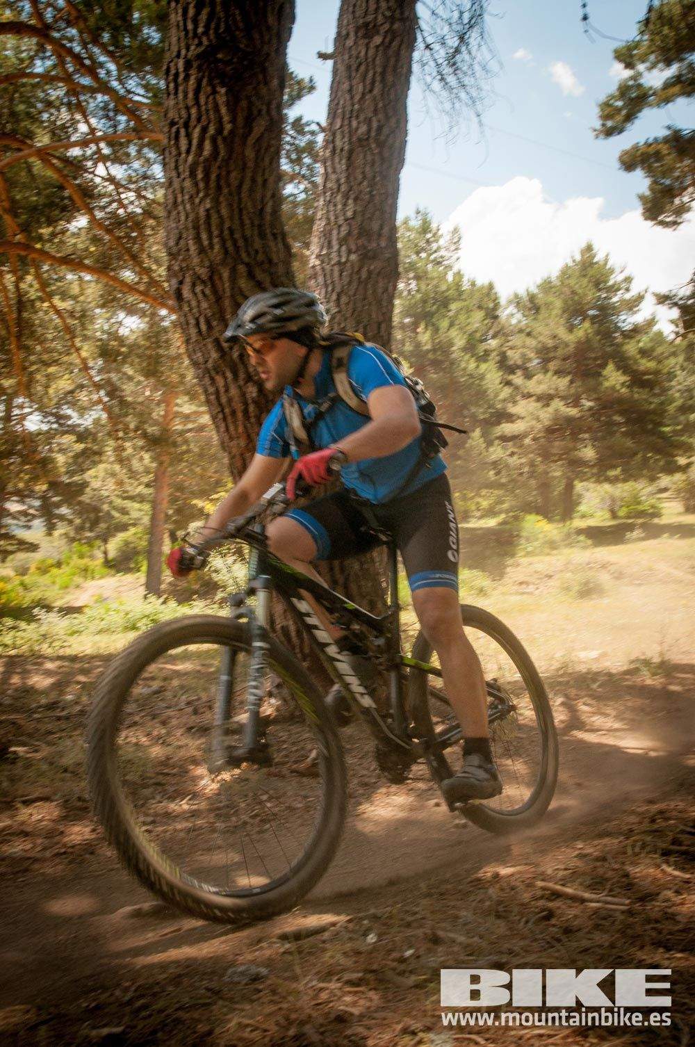 Test The Best 2015. Demo Domingo 31 mayo