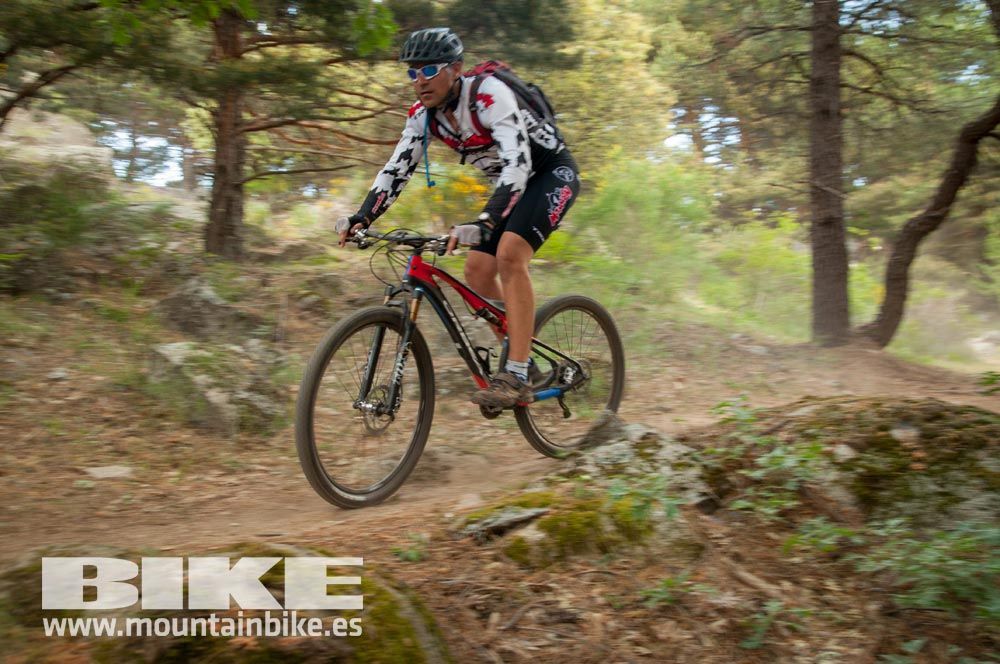Test The Best 2015. Demo Sábado 30 mayo