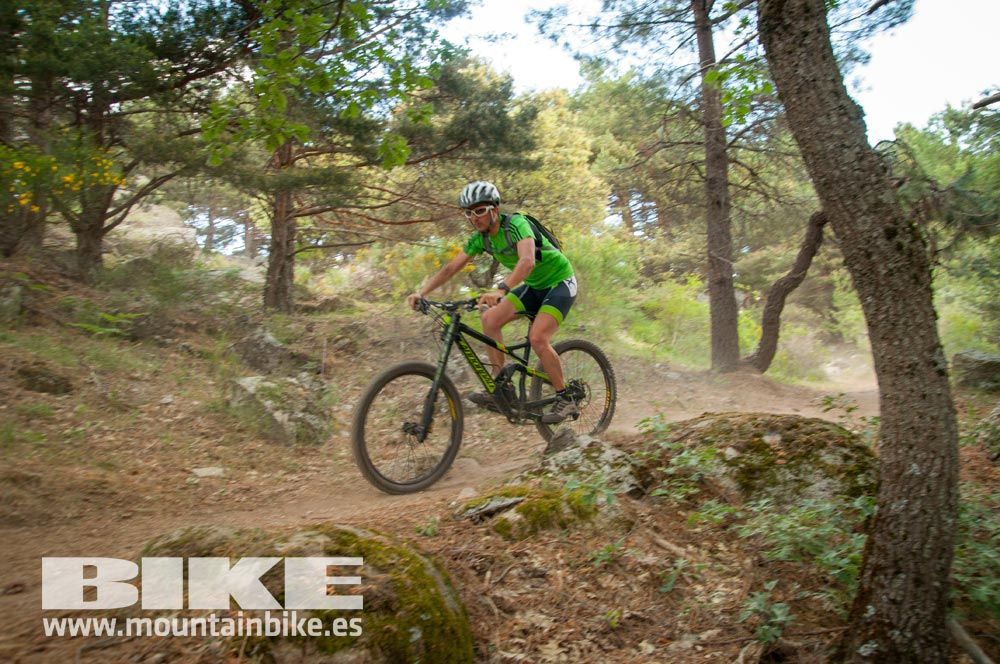 Test The Best 2015. Demo Sábado 30 mayo