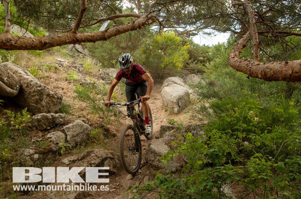 Test The Best 2015. Demo Sábado 30 mayo