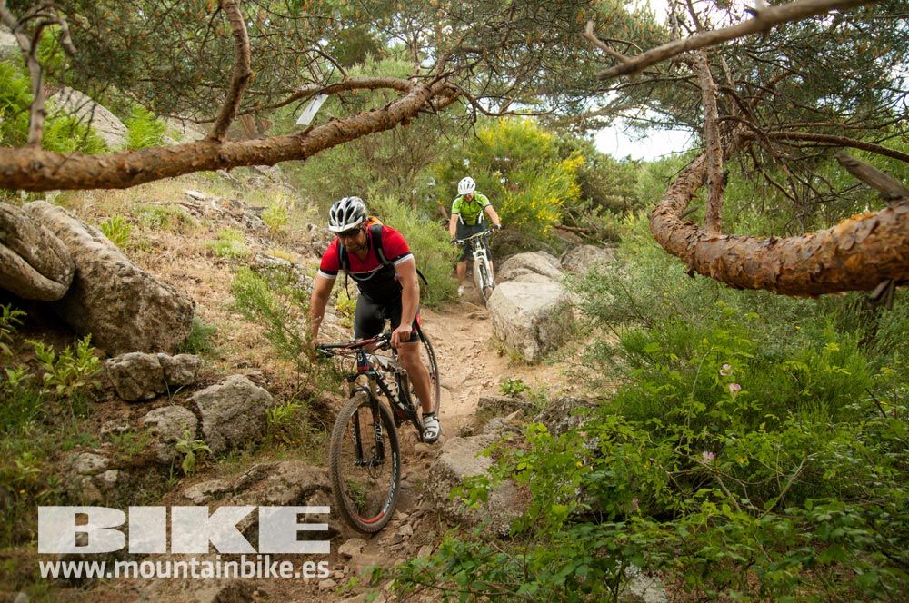 Test The Best 2015. Demo Sábado 30 mayo