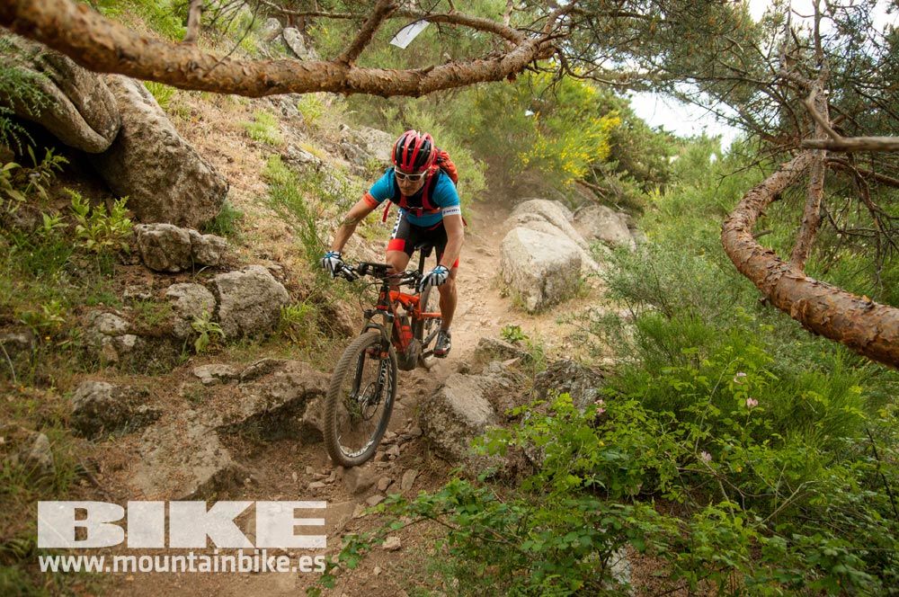 Test The Best 2015. Demo Sábado 30 mayo