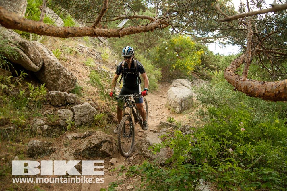 Test The Best 2015. Demo Sábado 30 mayo