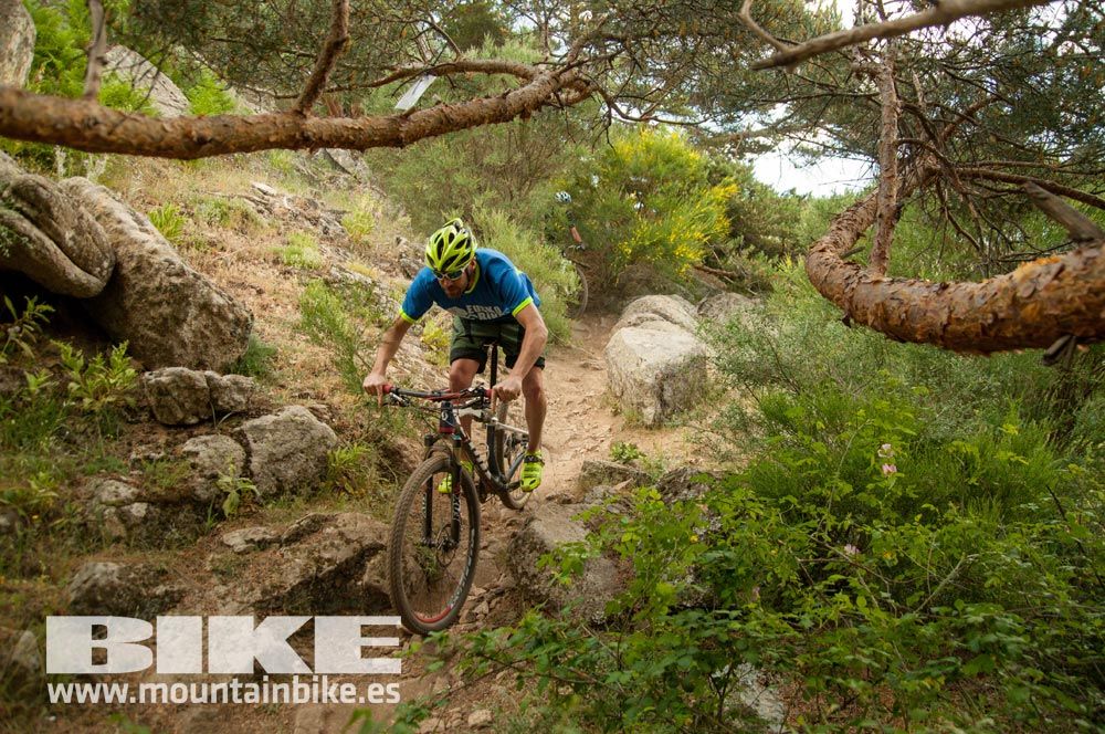 Test The Best 2015. Demo Sábado 30 mayo