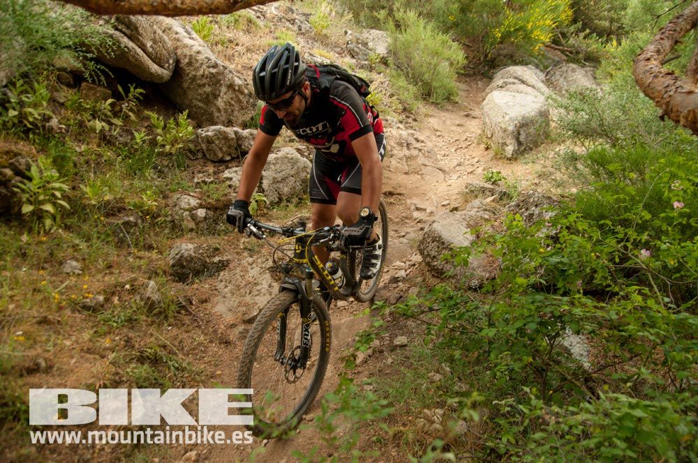 Test The Best 2015. Demo Sábado 30 mayo