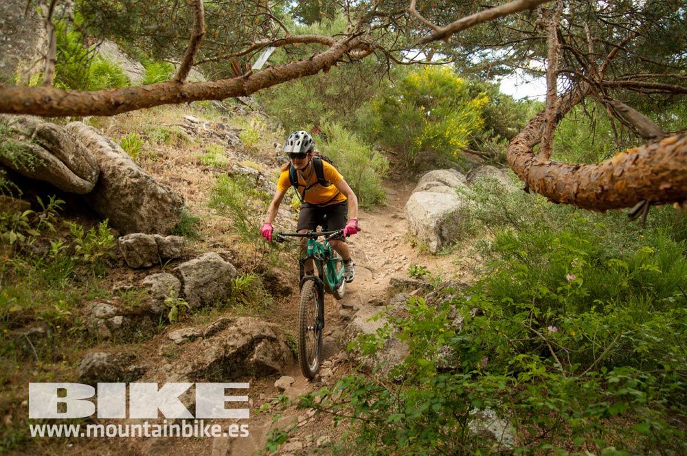 Test The Best 2015. Demo Sábado 30 mayo