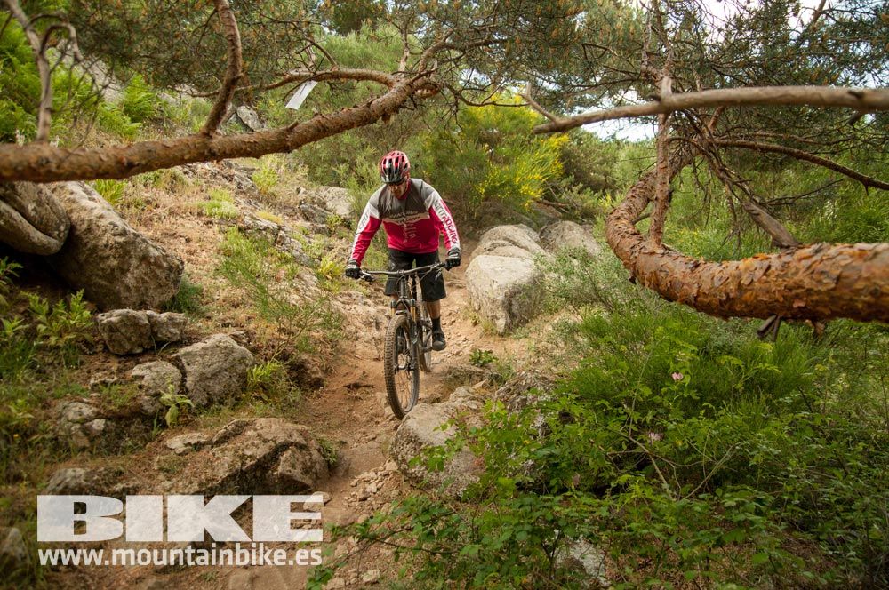 Test The Best 2015. Demo Sábado 30 mayo