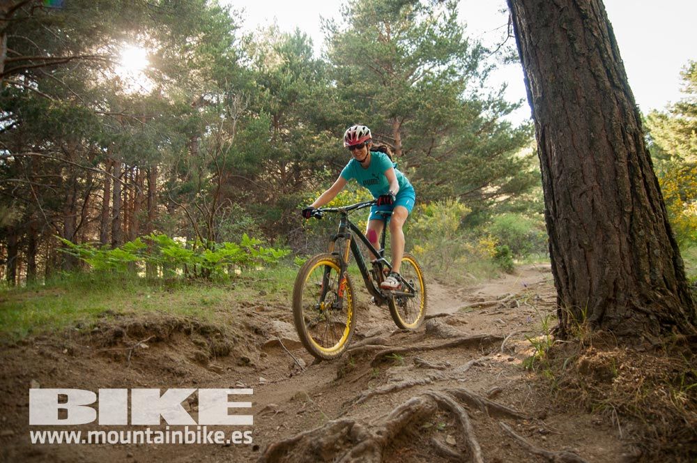 Test The Best 2015. Demo Sábado 30 mayo