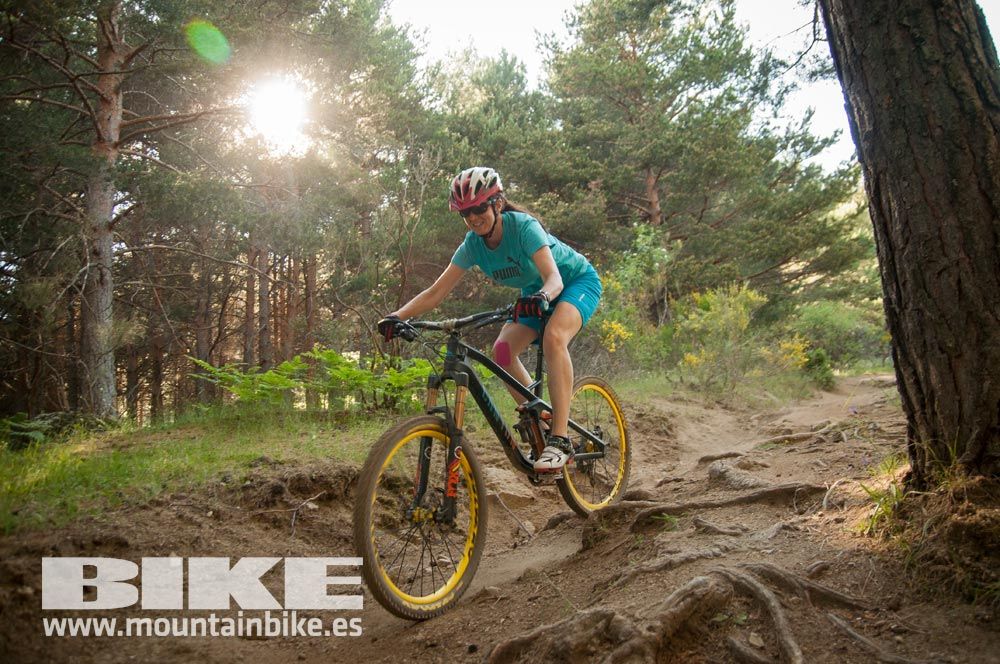 Test The Best 2015. Demo Sábado 30 mayo