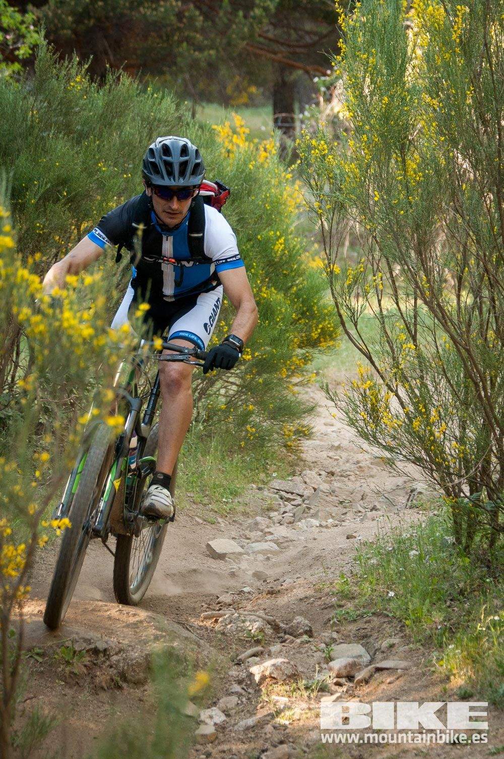Test The Best 2015. Demo Sábado 30 mayo