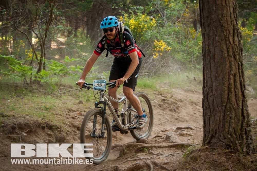 Test The Best 2015. Demo Sábado 30 mayo