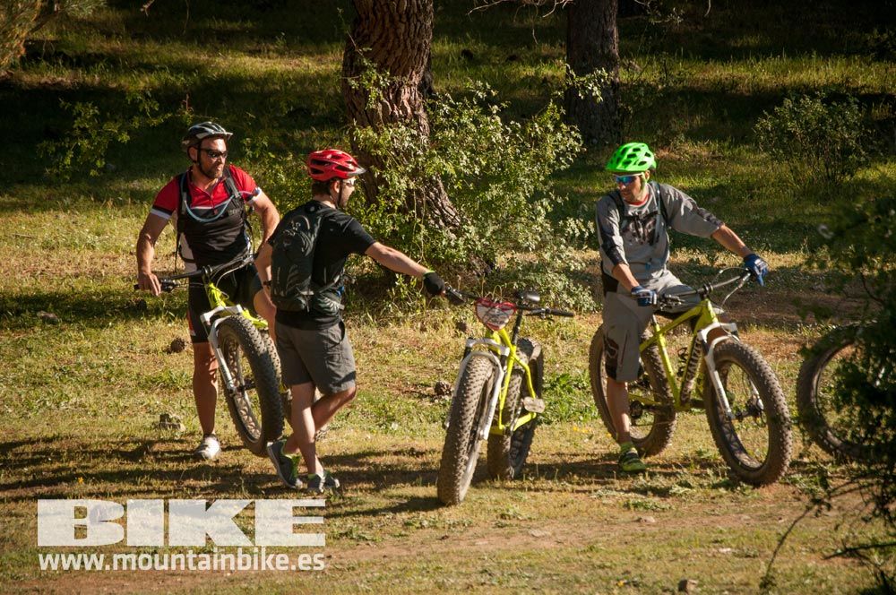 Test The Best 2015. Demo Sábado 30 mayo