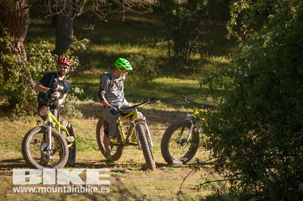 Test The Best 2015. Demo Sábado 30 mayo