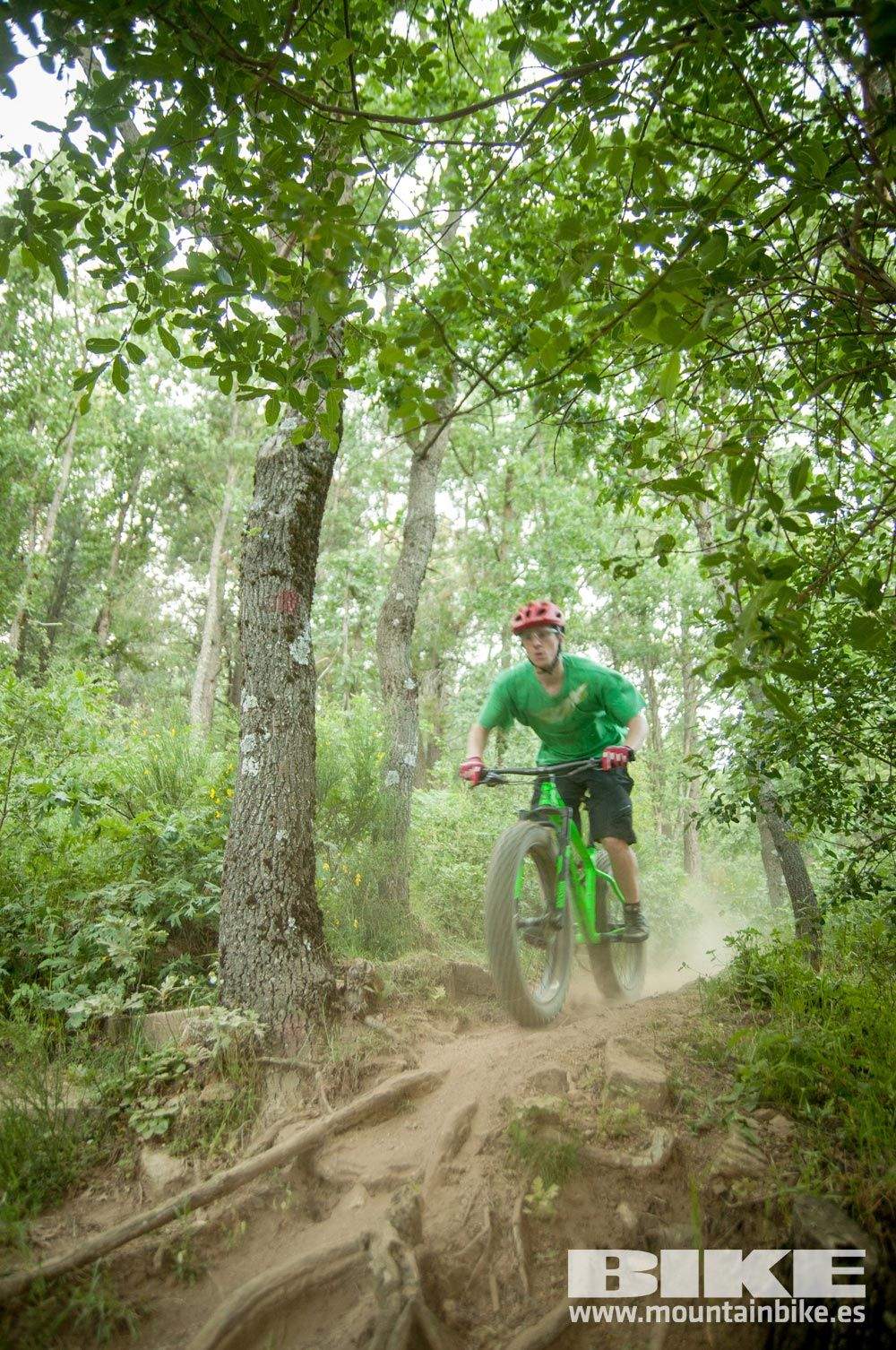 Test The Best 2015. Demo Sábado 30 mayo