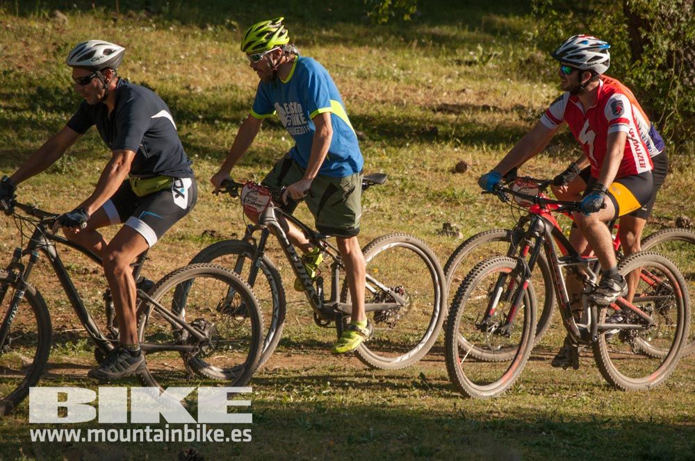 Test The Best 2015. Demo Sábado 30 mayo