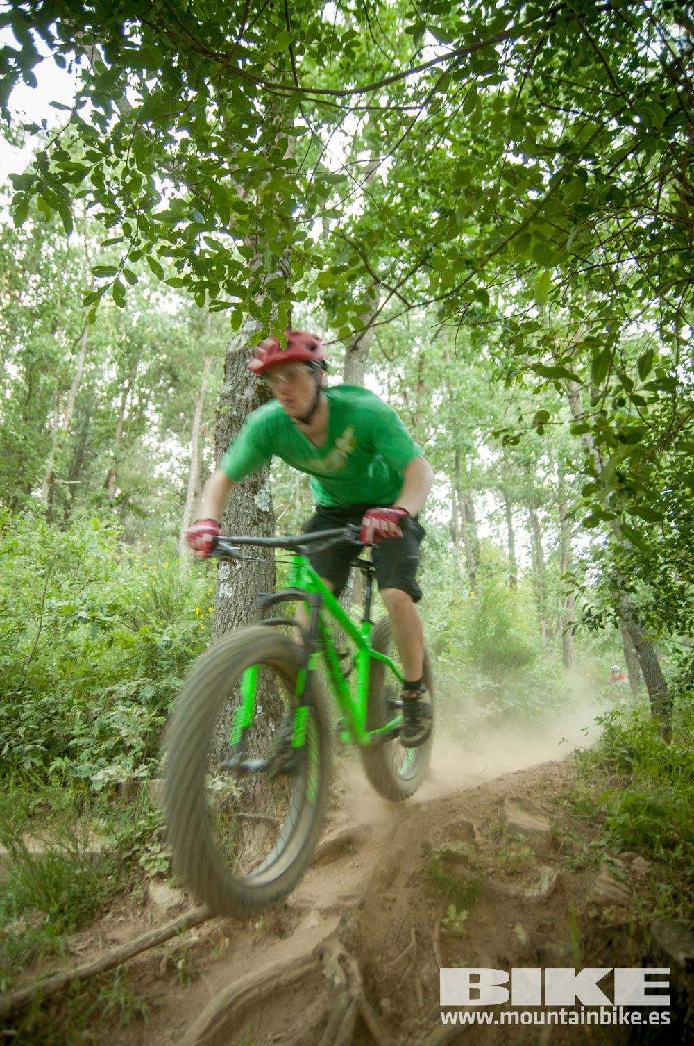Test The Best 2015. Demo Sábado 30 mayo