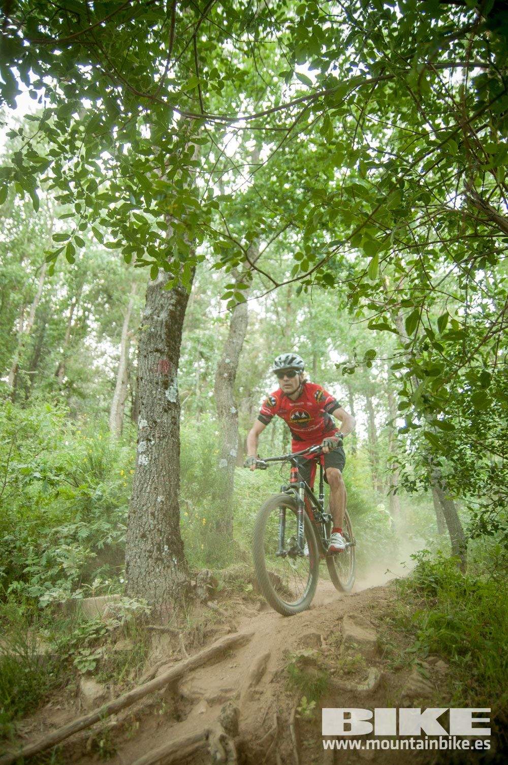 Test The Best 2015. Demo Sábado 30 mayo