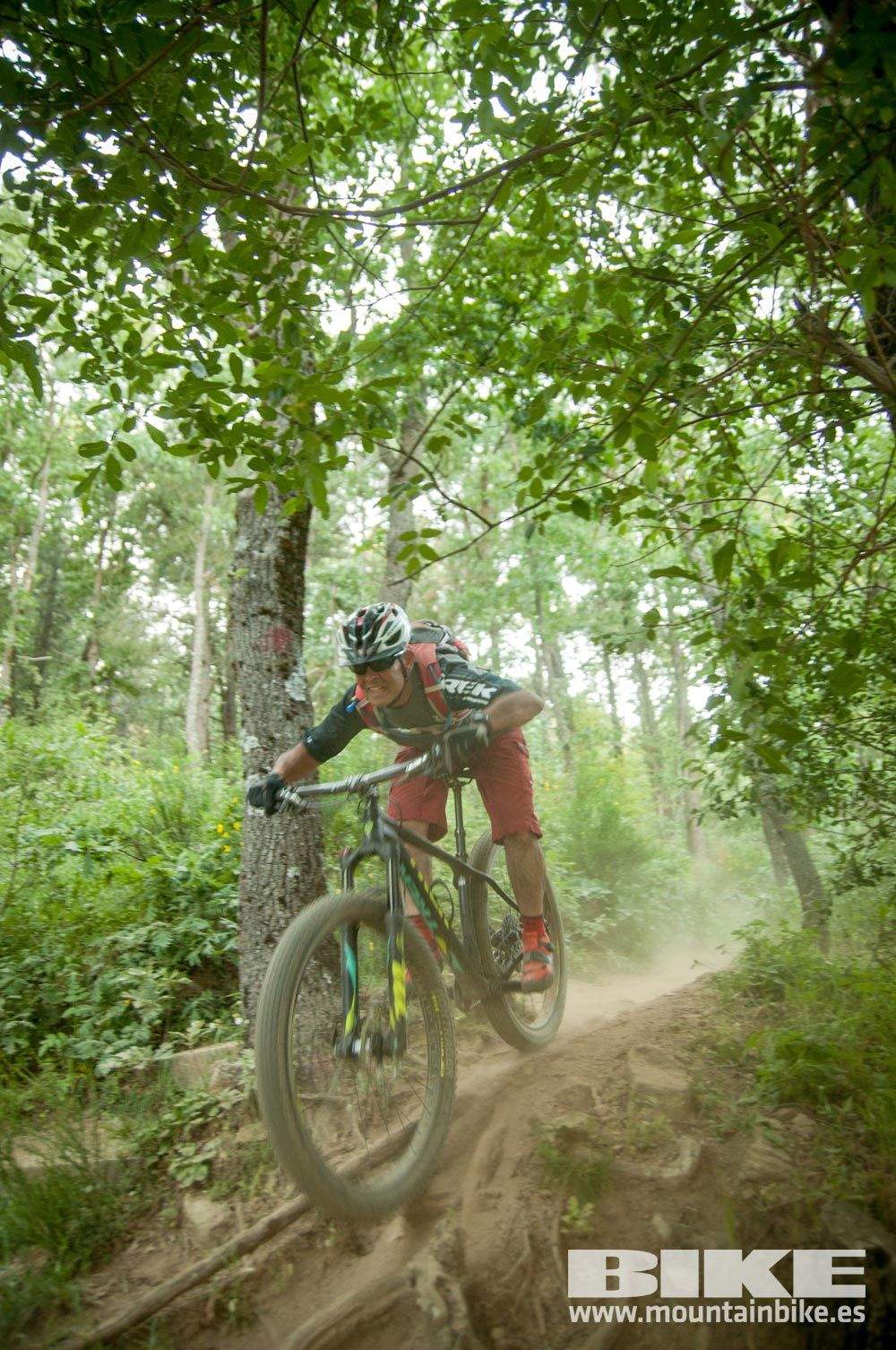 Test The Best 2015. Demo Sábado 30 mayo
