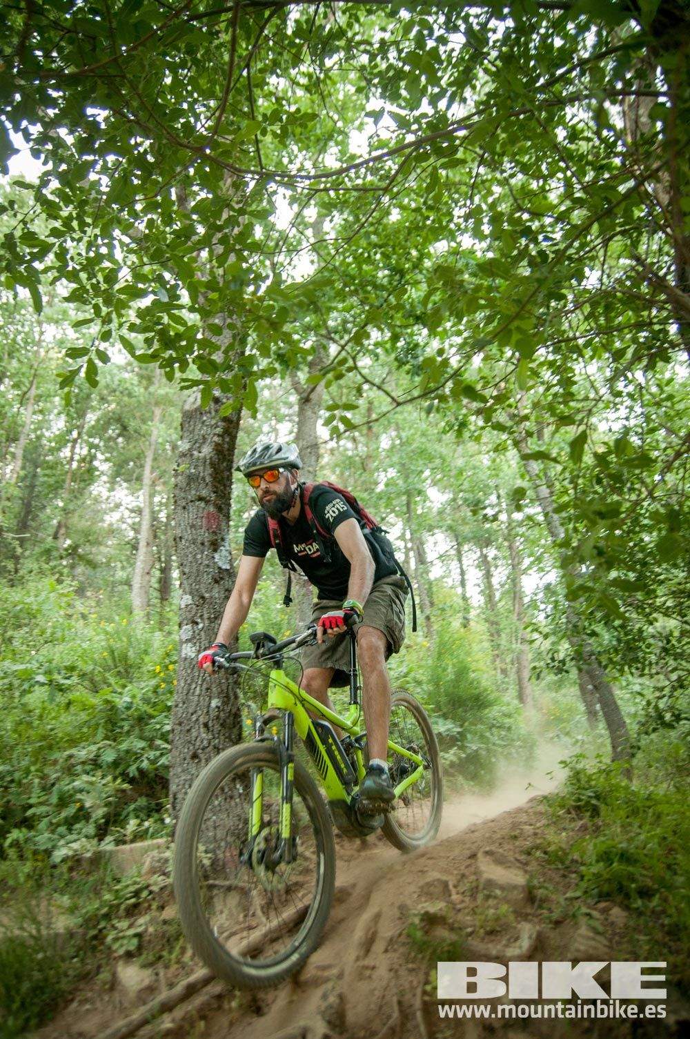 Test The Best 2015. Demo Sábado 30 mayo