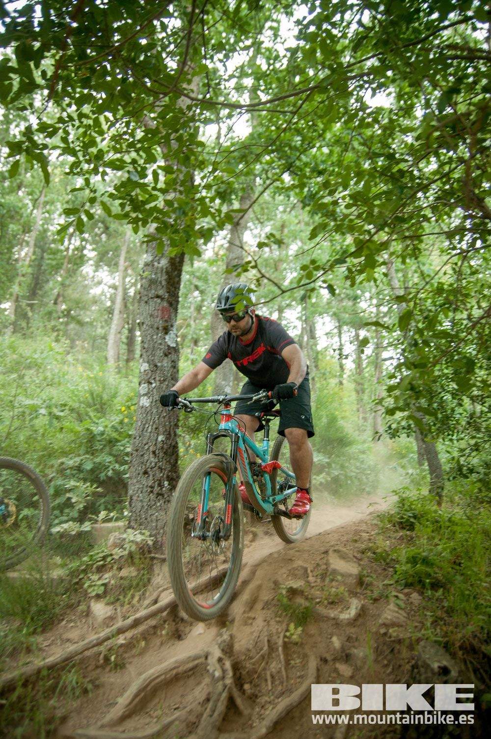 Test The Best 2015. Demo Sábado 30 mayo