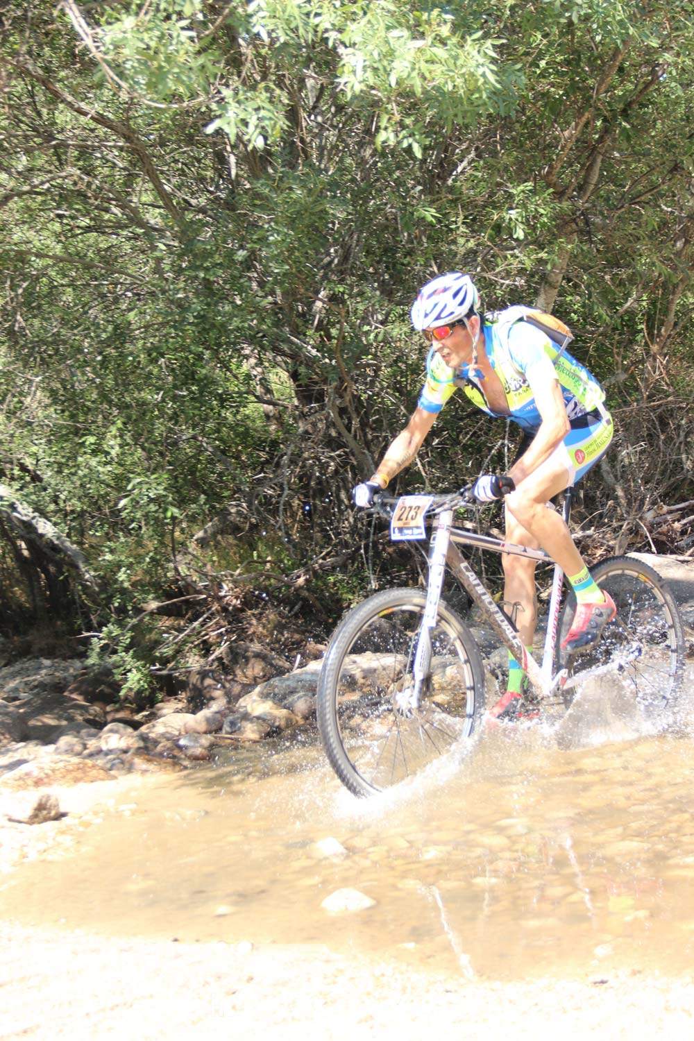 Scott 7 Estrellas Soto del Real 2015 Galeria 6