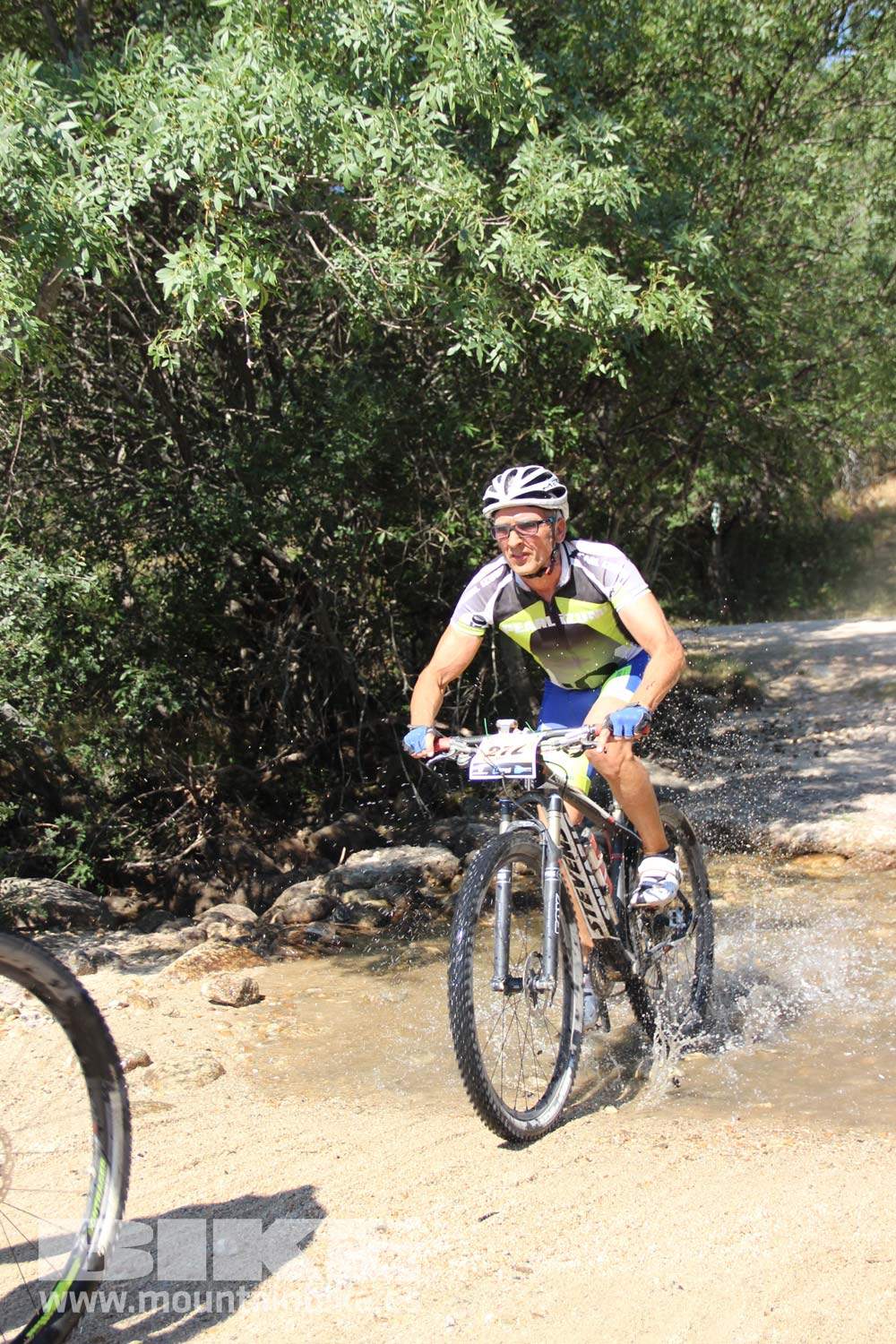 Scott 7 Estrellas Soto del Real 2015 Galeria 7