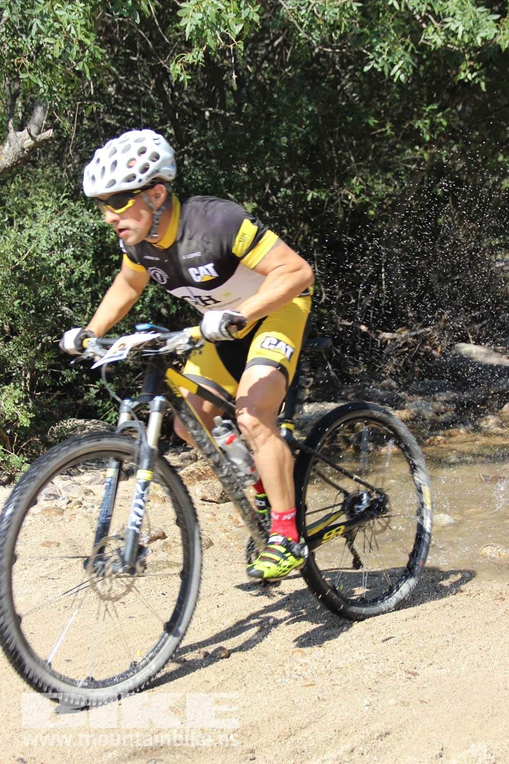 Scott 7 Estrellas Soto del Real 2015 Galeria 7