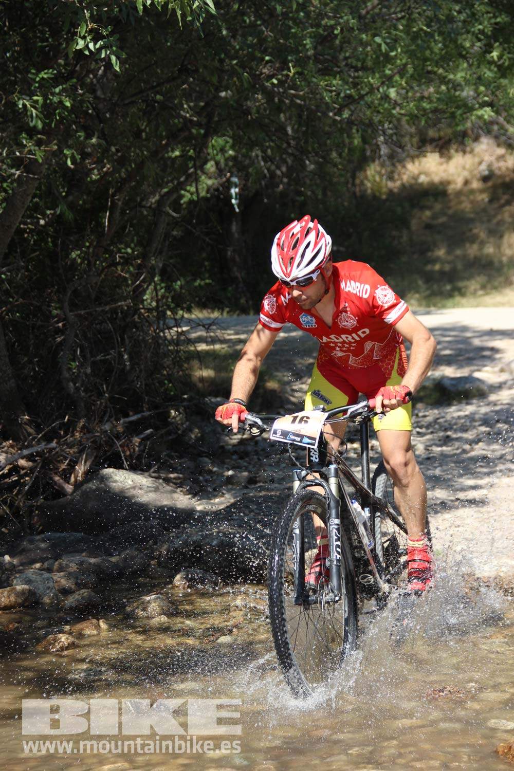 Scott 7 Estrellas Soto del Real 2015 Galeria 7