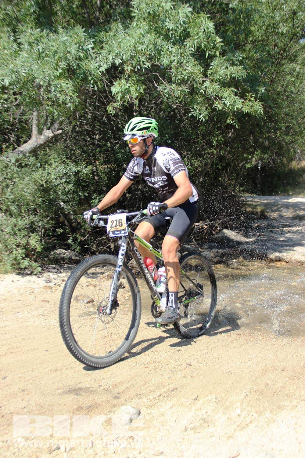 Scott 7 Estrellas Soto del Real 2015 Galeria 7