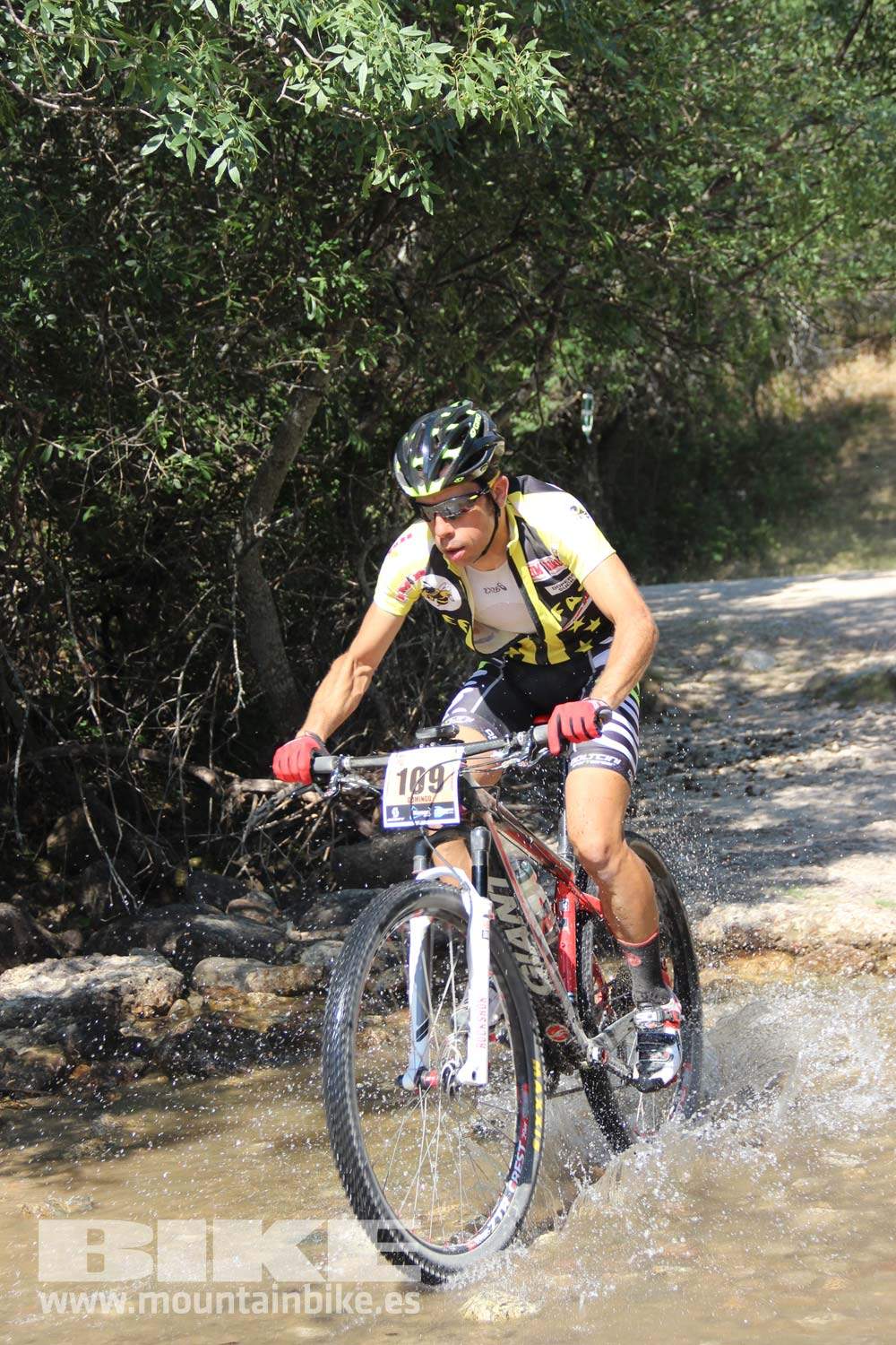 Scott 7 Estrellas Soto del Real 2015 Galeria 7