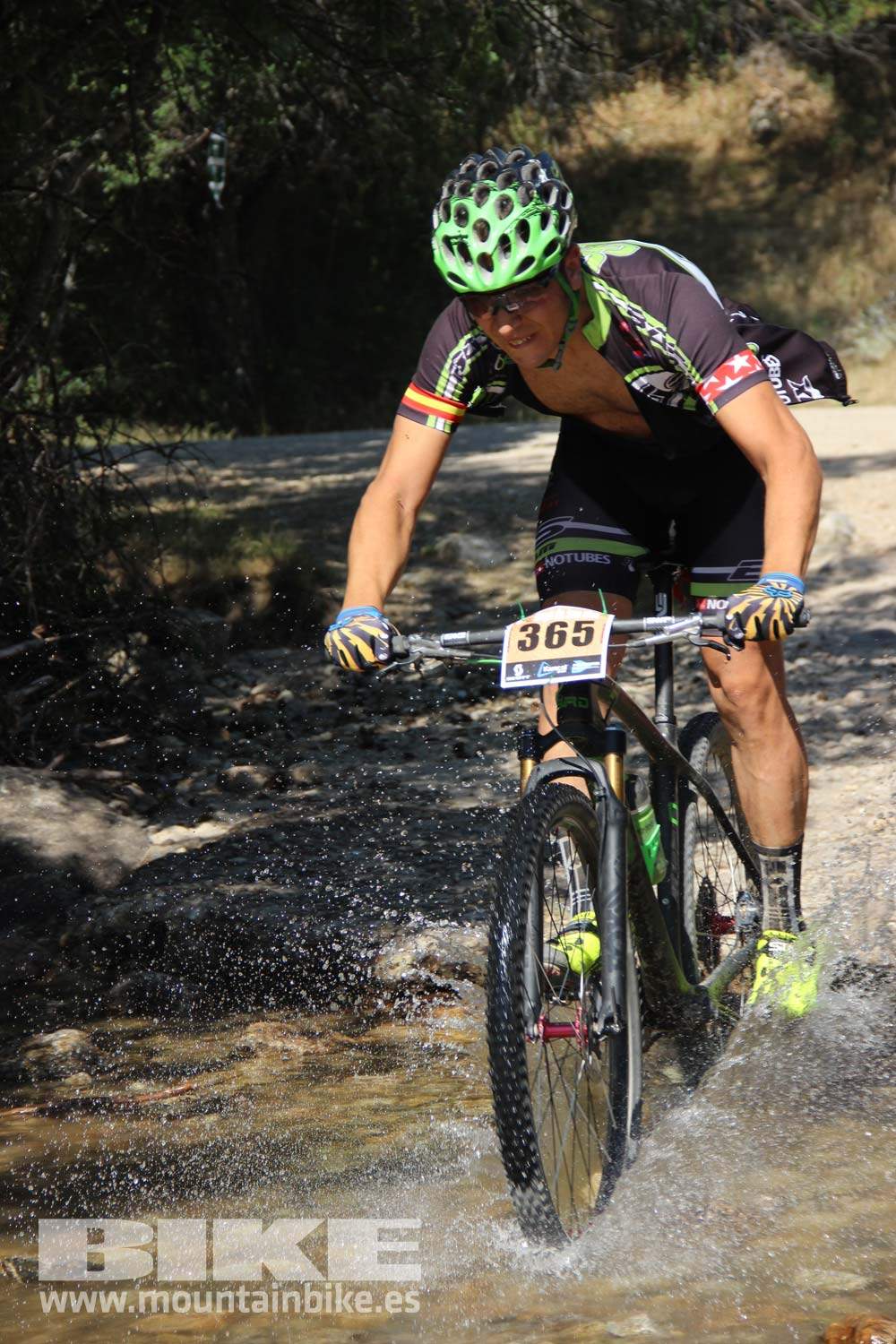 Scott 7 Estrellas Soto del Real 2015 Galeria 7