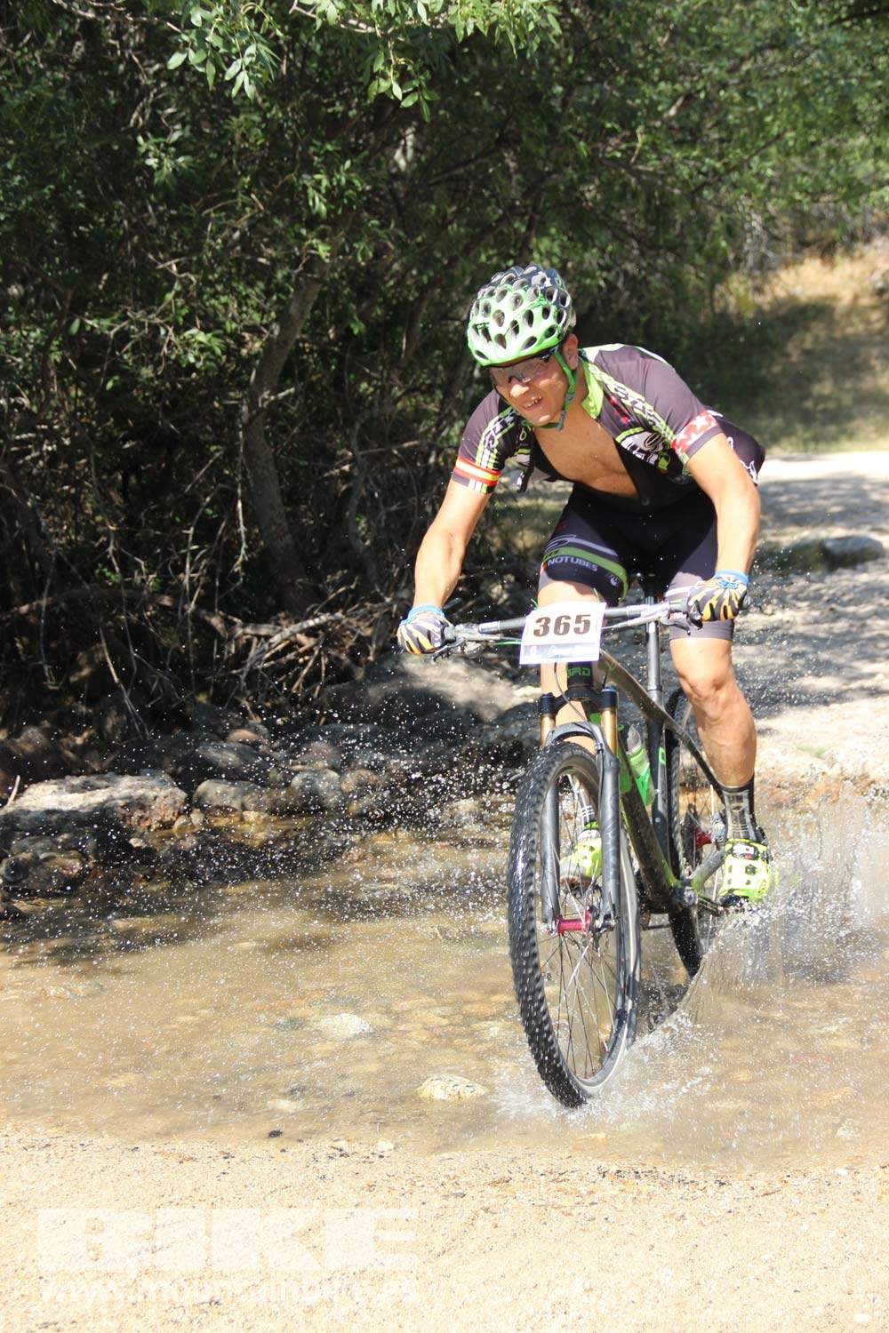 Scott 7 Estrellas Soto del Real 2015 Galeria 7