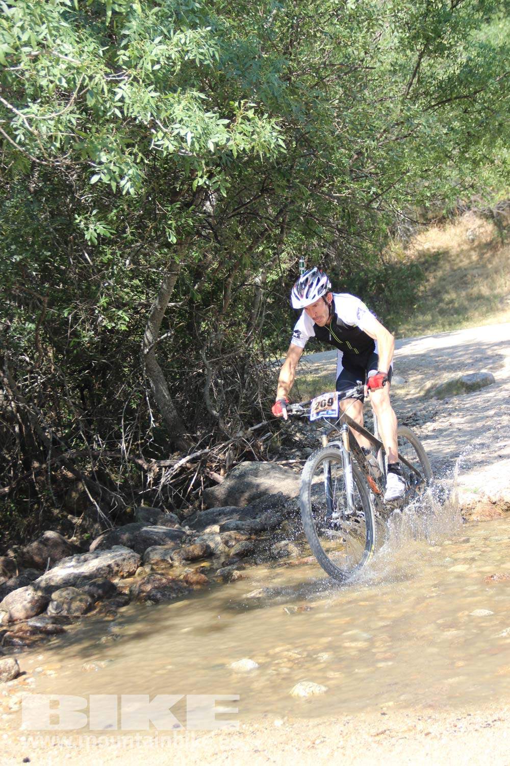 Scott 7 Estrellas Soto del Real 2015 Galeria 8