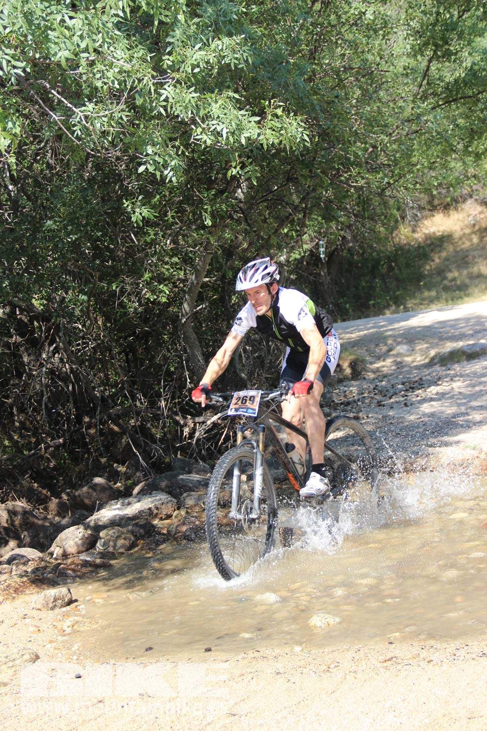 Scott 7 Estrellas Soto del Real 2015 Galeria 8