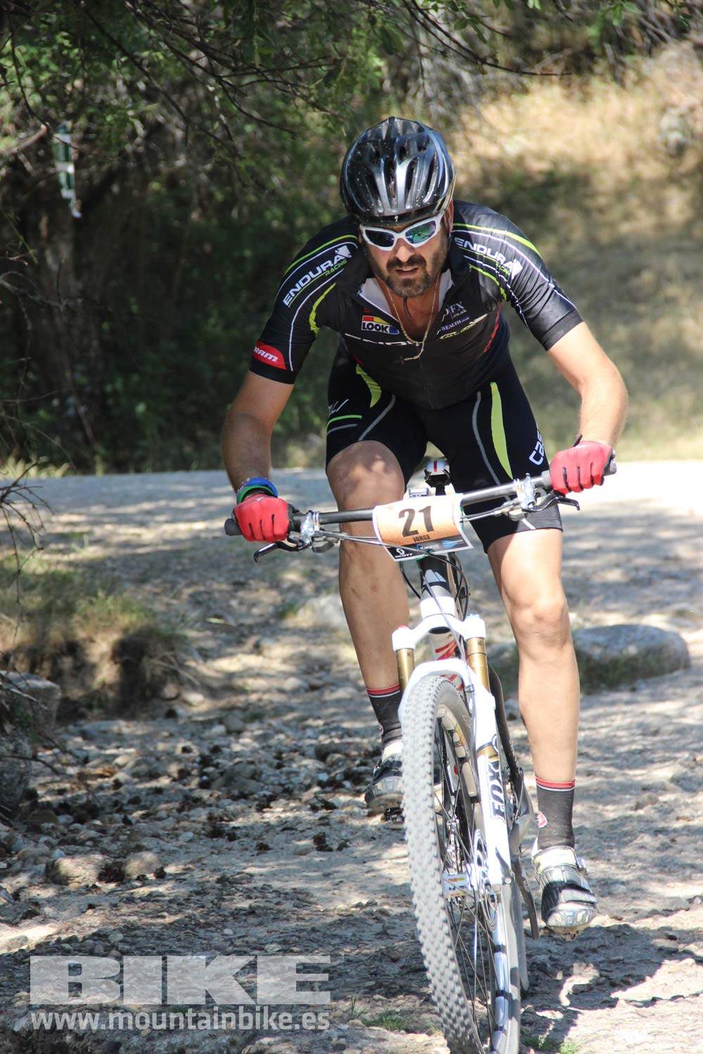 Scott 7 Estrellas Soto del Real 2015 Galeria 8