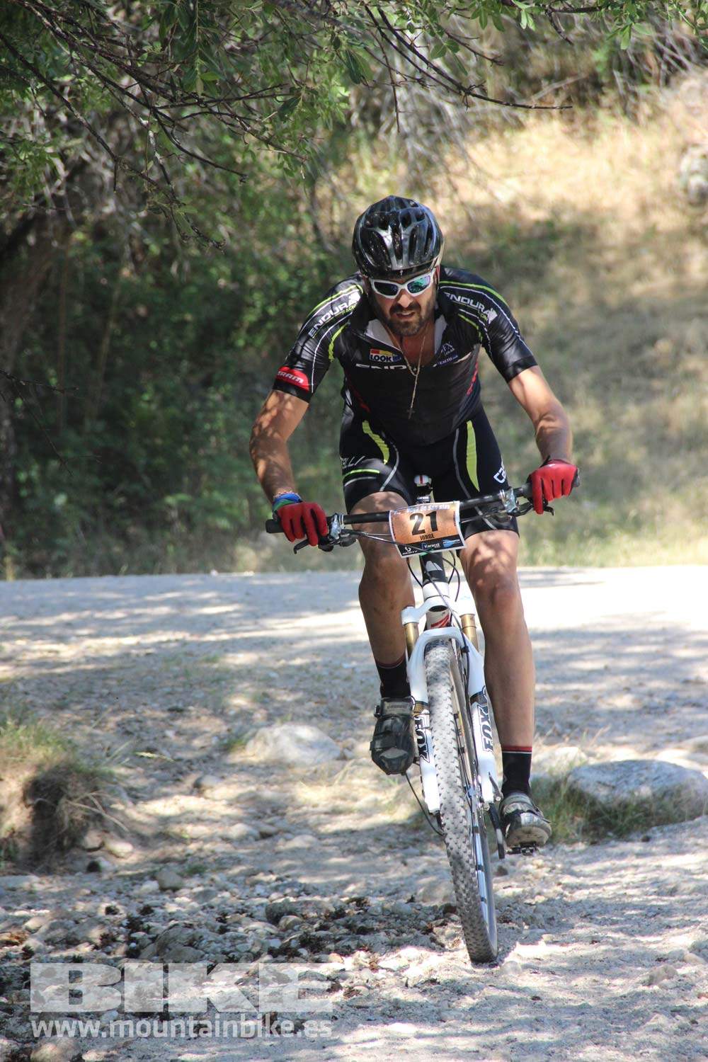 Scott 7 Estrellas Soto del Real 2015 Galeria 8