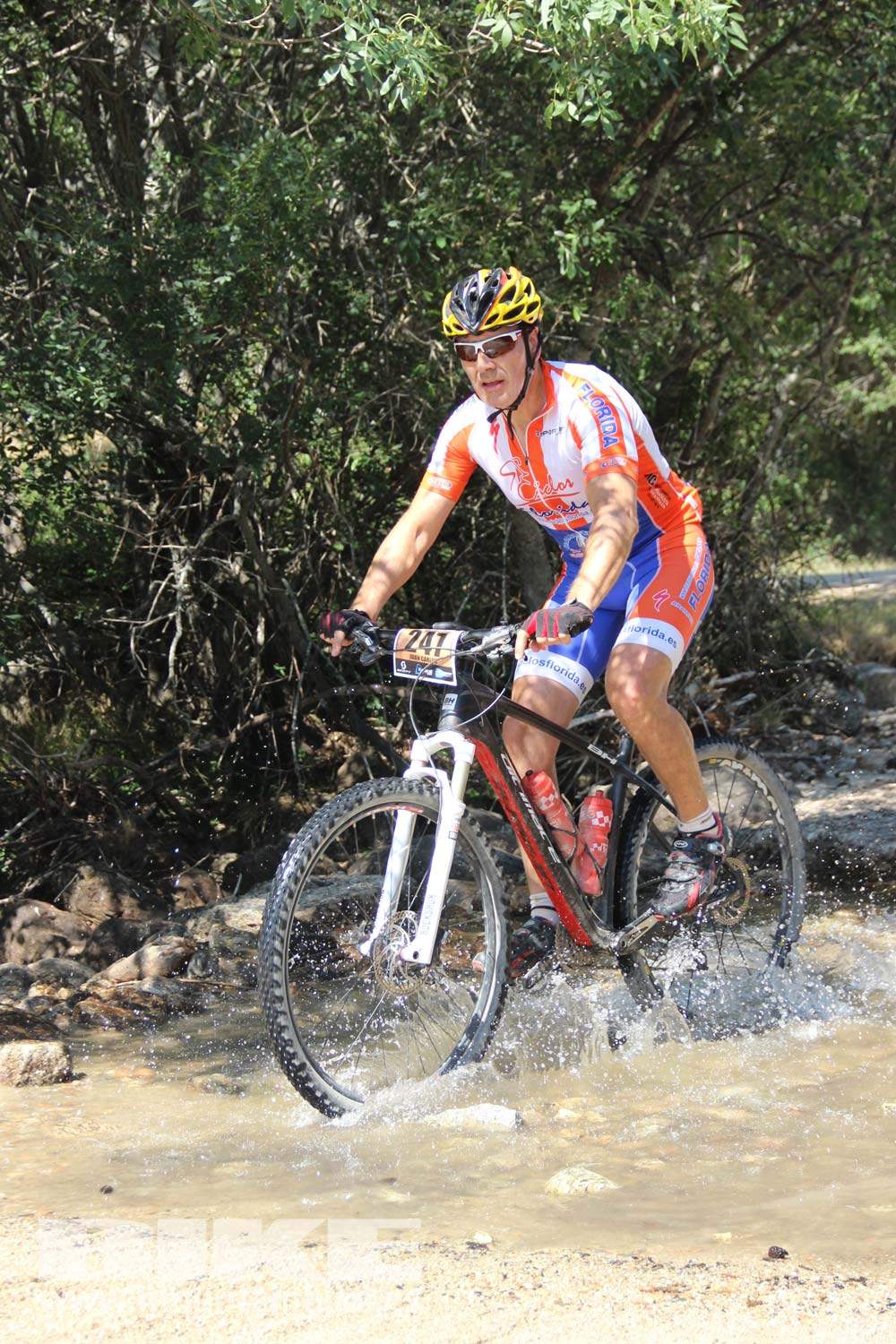 Scott 7 Estrellas Soto del Real 2015 Galeria 9
